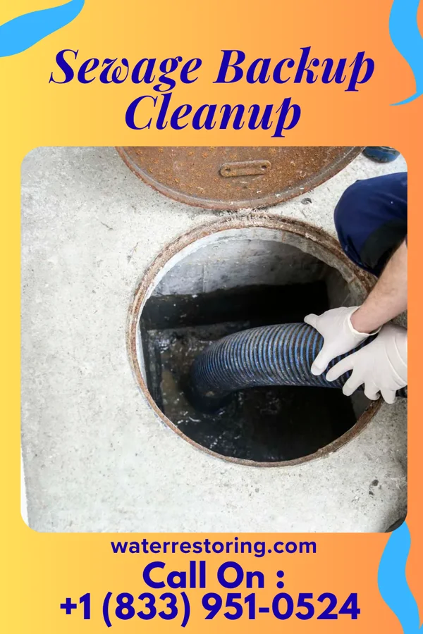 Sewage Backup Cleanup in Haltom City, TX